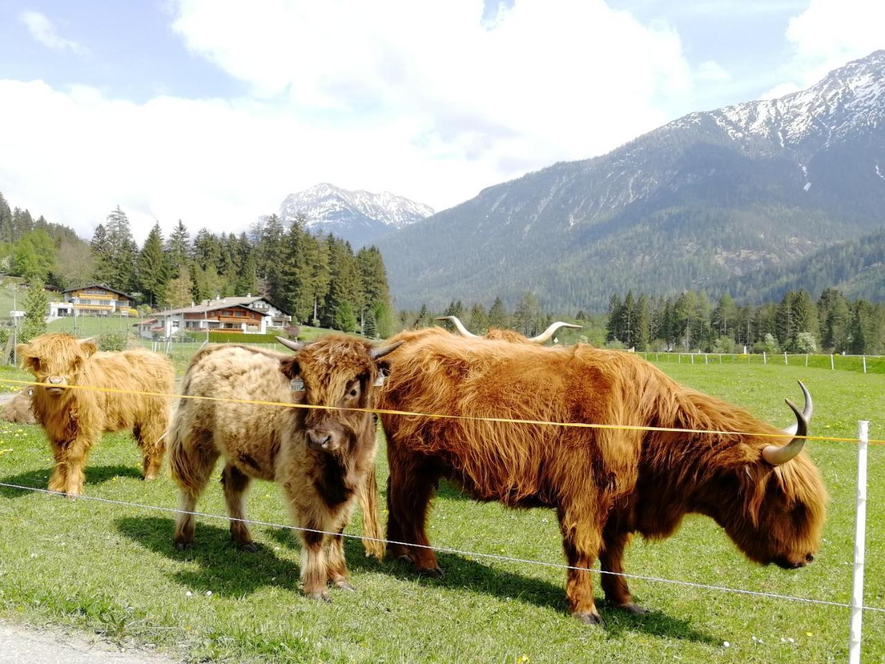 Camping Lechtal Vorderhornbach 外观 照片